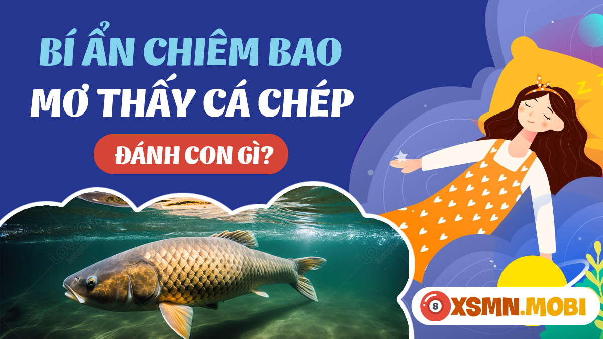 Giải Mã Giấc Mơ Bị Người Khác Bắn Mình Đánh Con Gì?