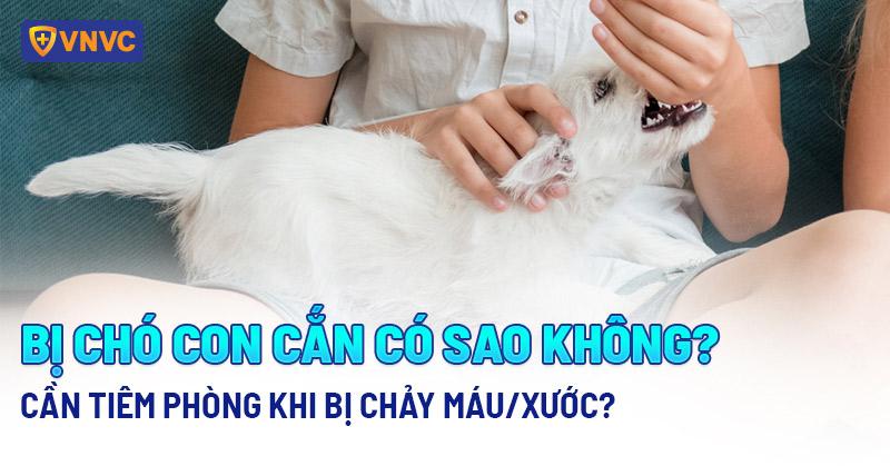 Nằm mơ thấy mình bay đánh con gì? Giải mã giấc mơ bay và số đề