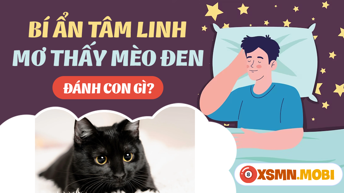 Bà bầu mơ thấy mèo đen bắt chuột