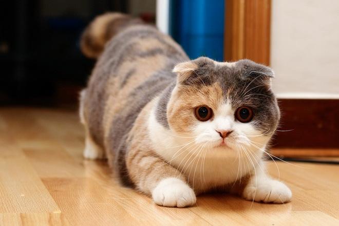 Giải Mã Giấc Mơ Thấy Mẹ Bị Đánh Đánh Con Gì?