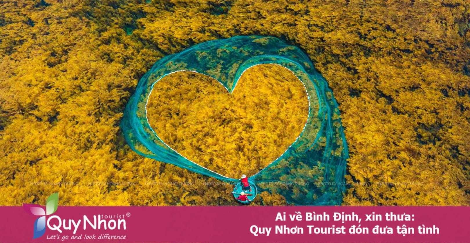 Bay trên biển lặng trong mơ