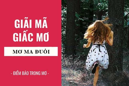 Nằm mơ thấy đàn gà con đánh con gì? Giải mã giấc mơ và tìm con số may mắn