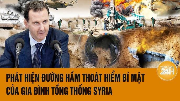 Giải Mã Giấc Mơ Thấy Mèo Mù Và Con Số May Mắn