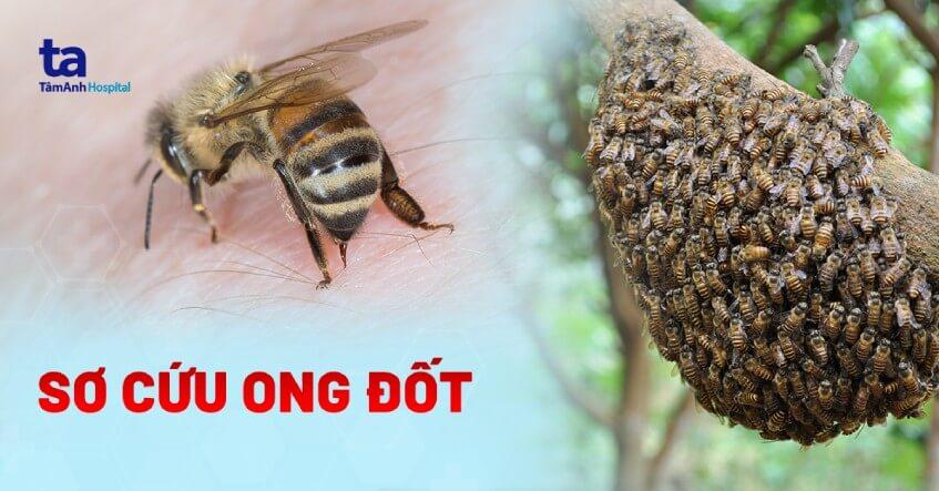 Giải Mã Giấc Mơ Thấy Bị Hư Đỏ: Điềm Báo &amp; Con Số May Mắn