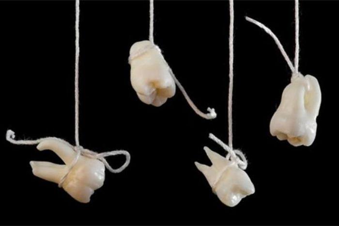 Giải Mã Giấc Mơ Thấy Hoa Hồng Màu Đỏ Và Số Đề Liên Quan