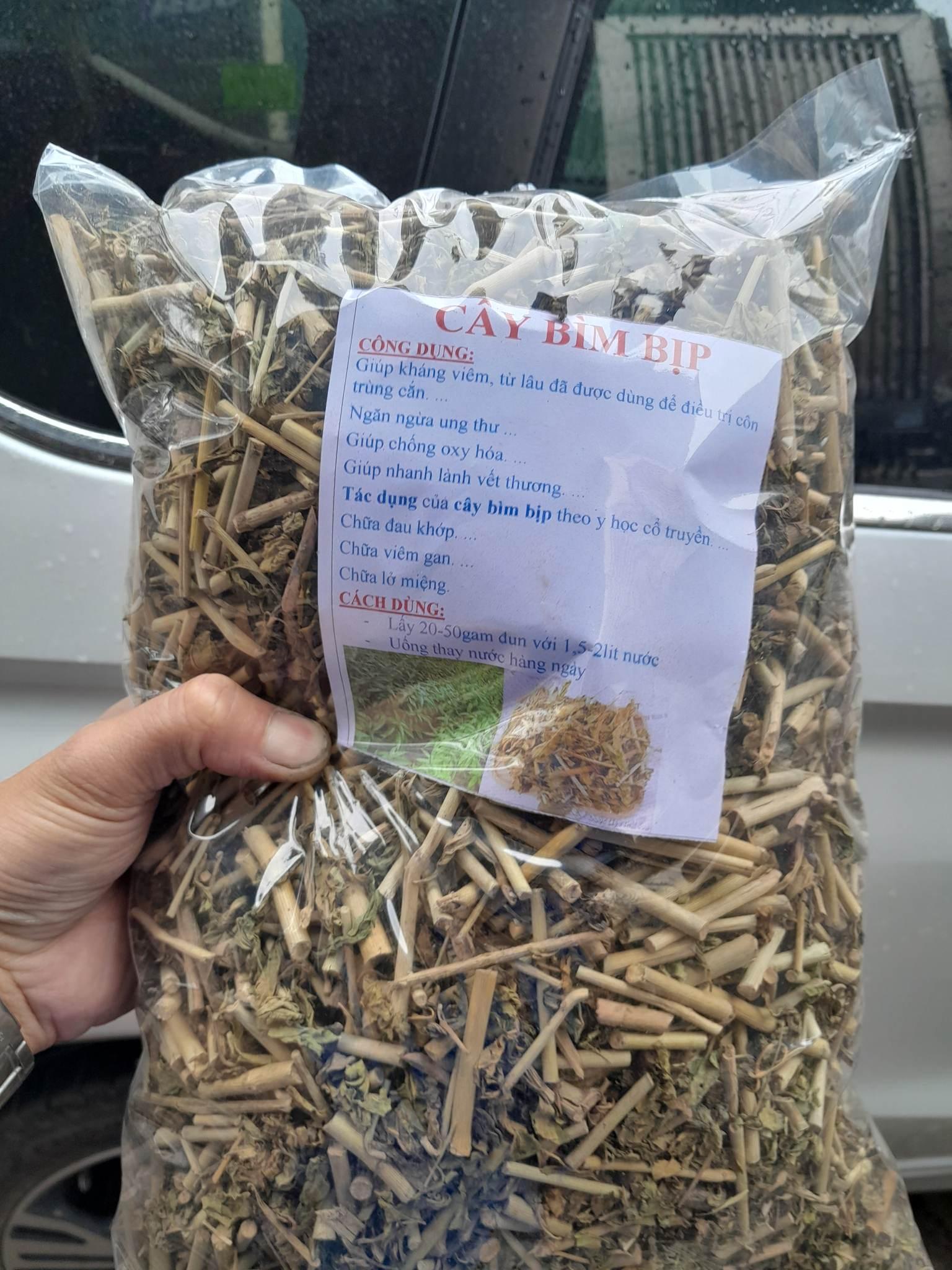 Bìm bịp đậu trên cành cây khô