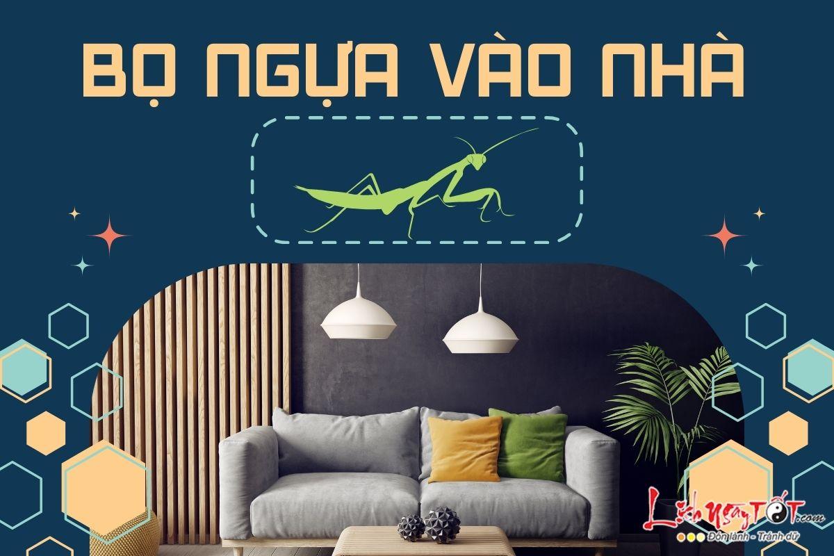 Bọ ngựa xanh bay vào nhà