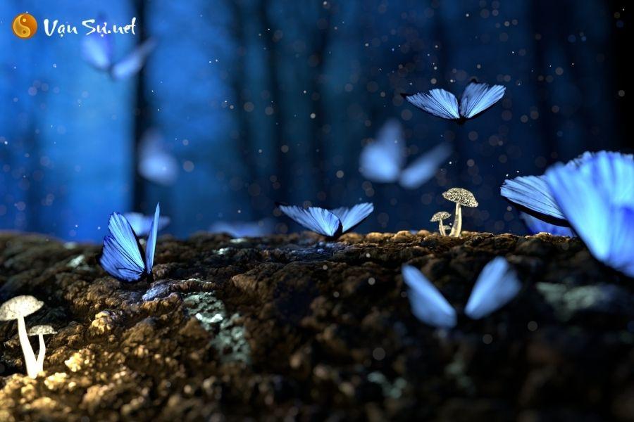 Giải Mã Giấc Mơ Thấy Đi Thuyền Trên Sông Lớn Và Số Đề