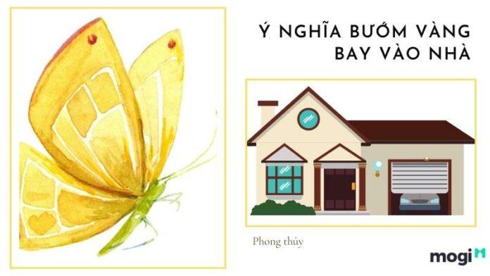 Bướm vàng bay vào nhà
