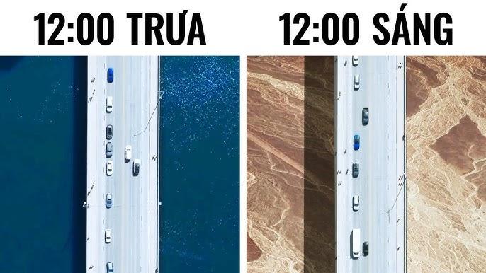 Cá bờ lên bờ tìm đường sống