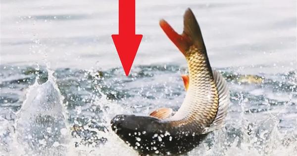 Giải Mã Giấc Mơ Thấy Cháy Đánh Con Gì?