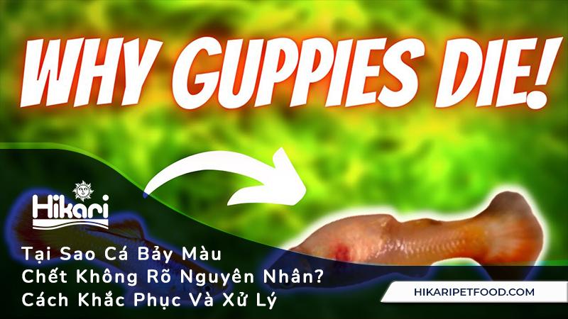 Giải Mã Giấc Mơ Xổ Số: Bí Mật Đằng Sau Những Con Số