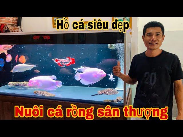 Cá rồng bay trên trời