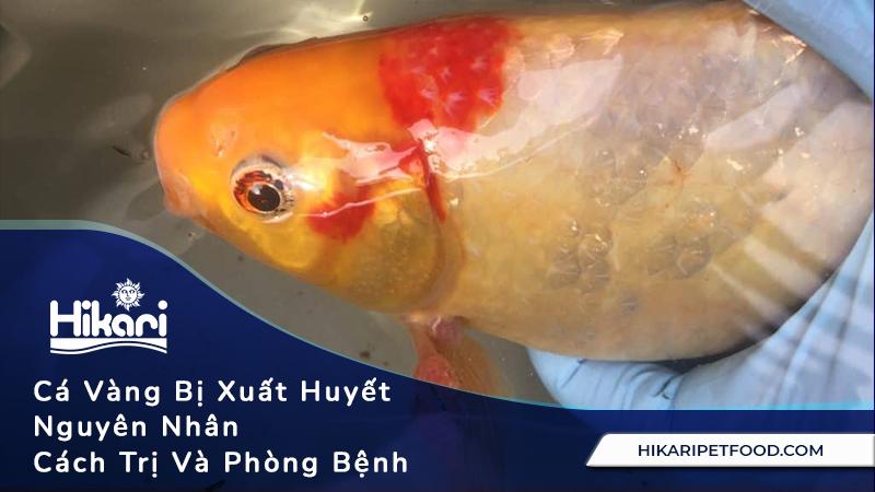 Nằm Mơ Thấy Bà Ngoại Đã Mất Hiện Về: Giải Mã Số Đề