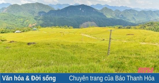Nằm mơ thấy vợ có bầu là điềm báo gì? Giải mã giấc mơ lô đề