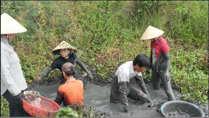 Câu cá rô bên sông