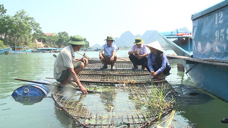 Câu được nhiều cá trắm cỏ trong giấc mơ