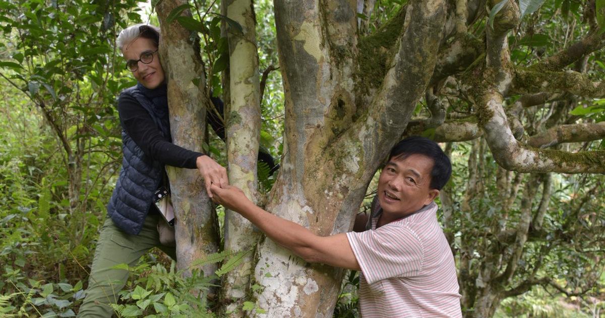 Giải Mã Giấc Mơ Thấy Bắt Cá và Số Đề Liên Quan