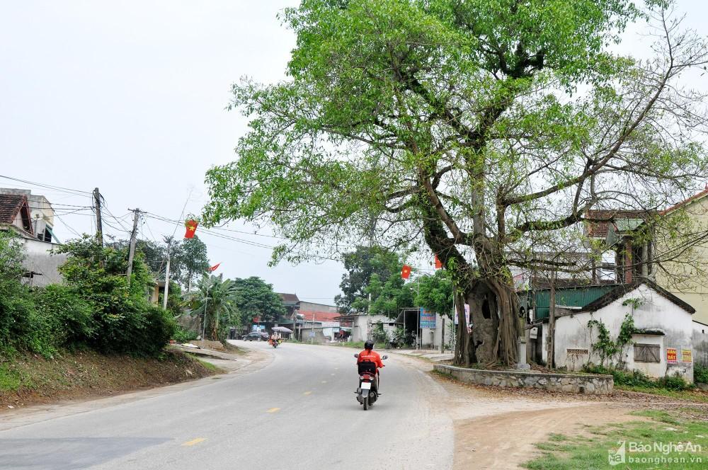 Giải Mã Giấc Mơ Thấy Ông Già Dê Mình Đánh Con Gì?