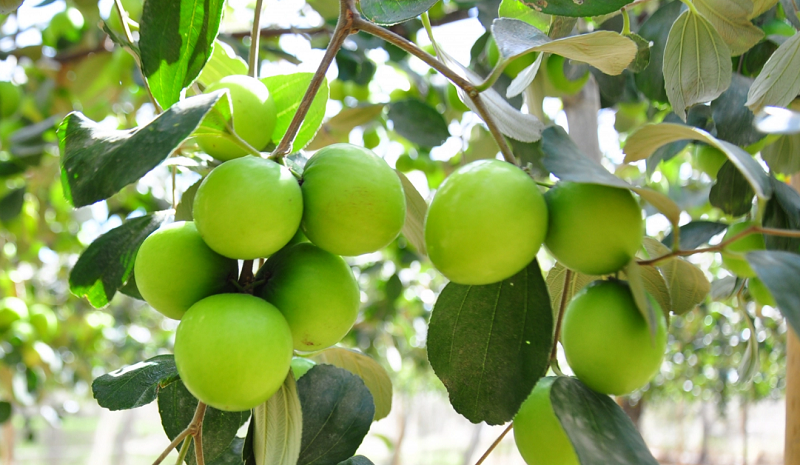 Nằm Mơ Thấy Mình Giành Chiến Thắng: Giải Mã Số Đề