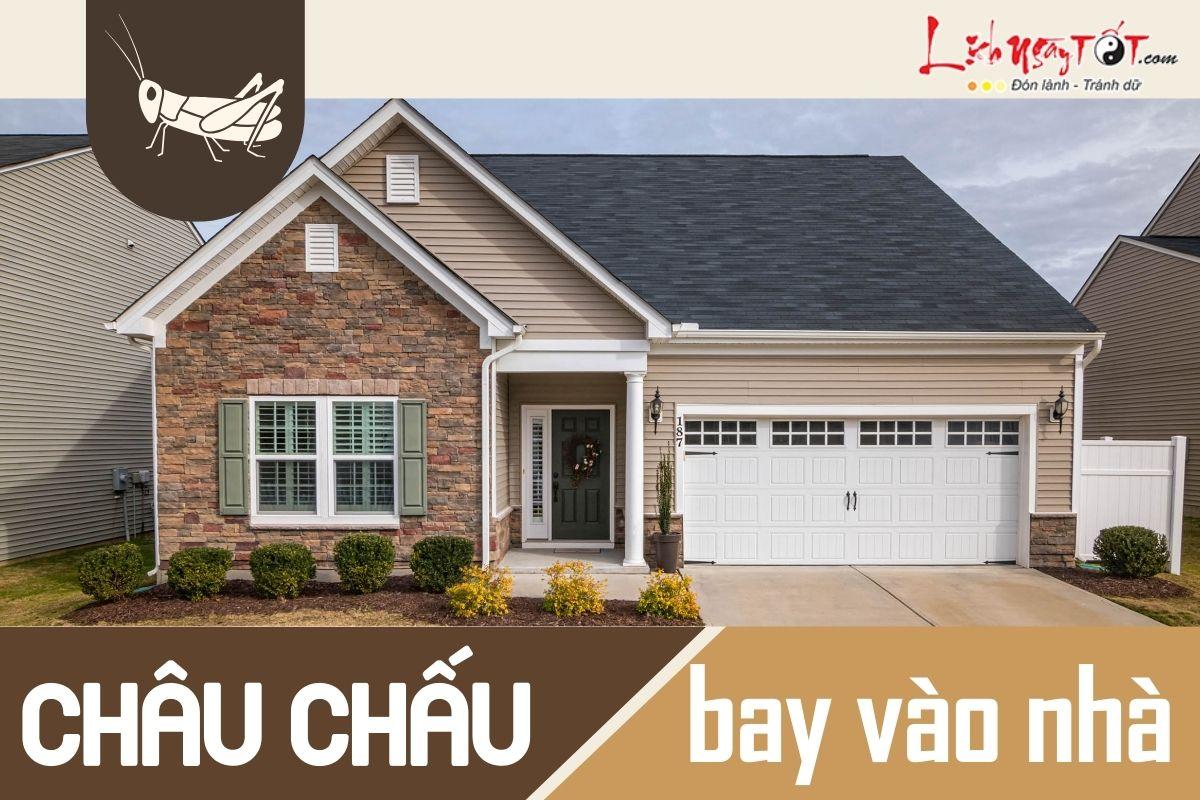Nằm Mơ Thấy Hái Trái Số Ri Đánh Con Gì?