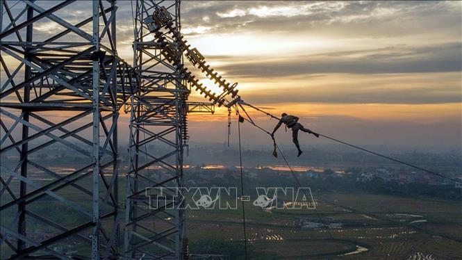 Nằm mơ thấy sư tử đánh số gì? Giải mã giấc mơ sư tử