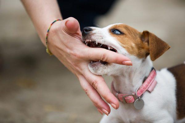 Giải Mã Giấc Mơ Thấy Bà Nội Đã Mất