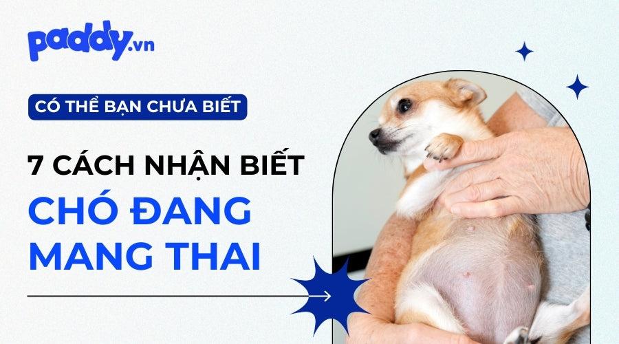 Giải Mã Giấc Mơ Thấy Số: Điềm Báo Lành Hay Dữ?