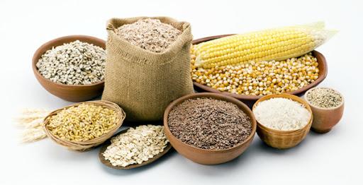 Giải Mã Giấc Mơ Thấy Chó Nháy Đực Đánh Con Gì?