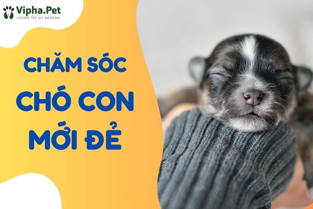 Giải Mã Giấc Mơ Khóc Chảy Nước Mắt Đánh Con Gì?