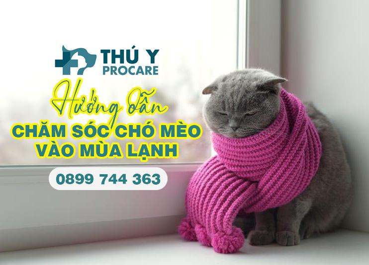 Chó mèo vào nhà vui vẻ
