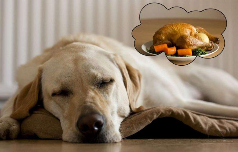 Giải Mã Giấc Mơ Thấy Đi Cầu Và Con Số May Mắn