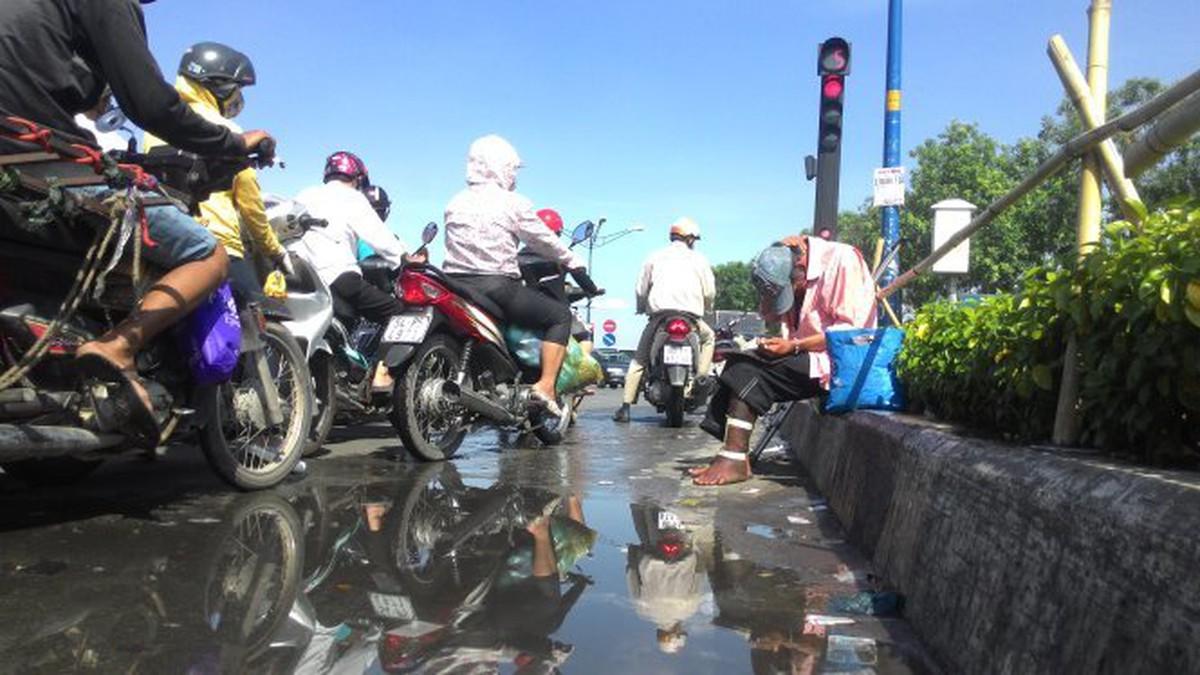 Nằm mơ thấy mèo con đánh số mấy? Giải mã chi tiết