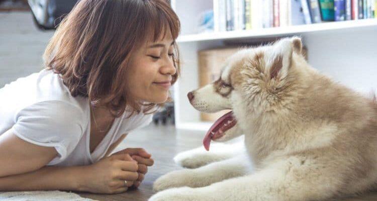 Nằm mơ thấy rụng răng đánh con gì? Giải mã giấc mơ và con số may mắn