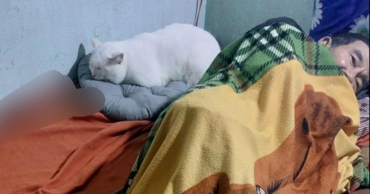 Giải Mã Giấc Mơ Thấy Chó Trắng Vào Nhà Và Số Đề Liên Quan