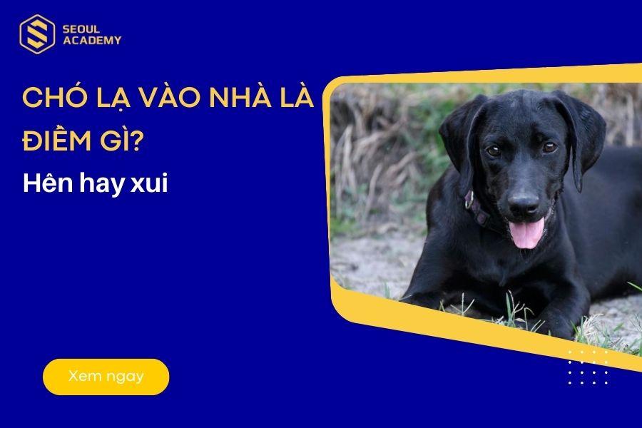 Nằm mơ thấy trứng gà đánh đề con gì?