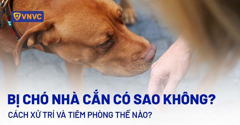 Nằm Mơ Thấy Cầu Tiêu Là Số May? Giải Mã Chi Tiết