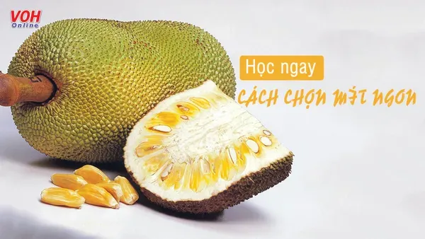 Chọn mít chín ngon