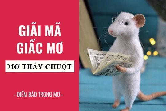 Giải Mã Giấc Mơ Thấy Trứng Rán Đánh Con Gì?