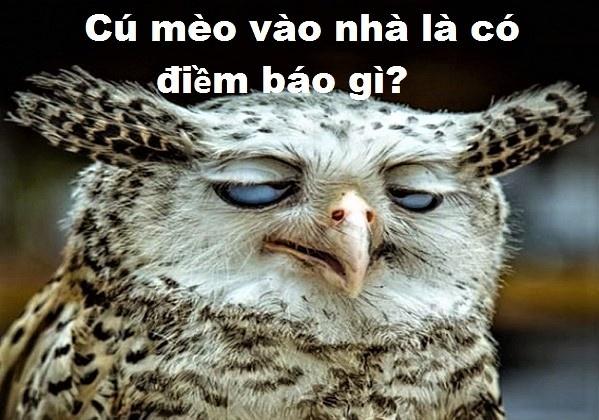 Lời Đêm Nằm Mơ Ngày Làm Thơ Giải Mã Số Đề