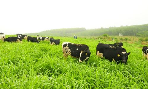 Giải Mã Giấc Mơ Thấy Quay Lại Với Chồng Cũ Đánh Con Gì?