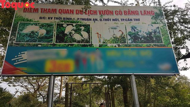 Nằm Mơ Thấy Ký Sinh Trùng Trong Người Đánh Con Gì?