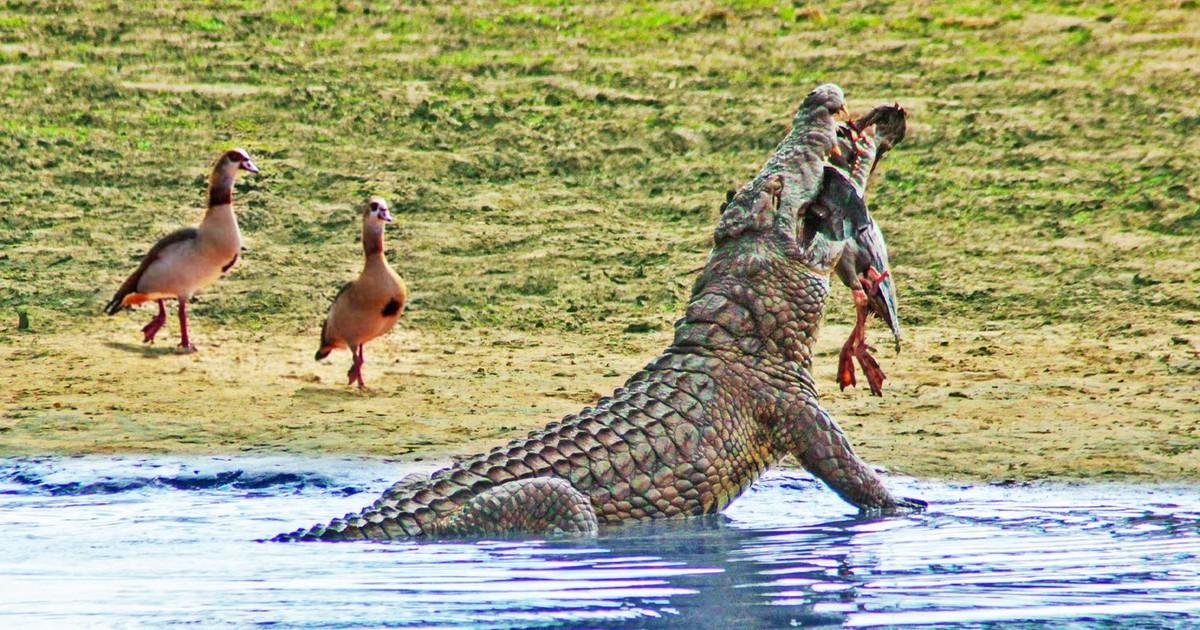 Giải Mã Giấc Mơ Thấy Hai Vợ Chồng Ly Hôn Và Số Đề Liên Quan