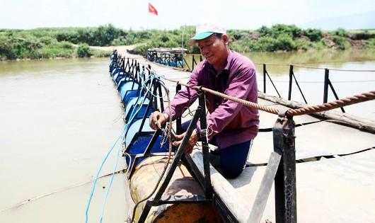 Đi qua cầu tre trong mơ