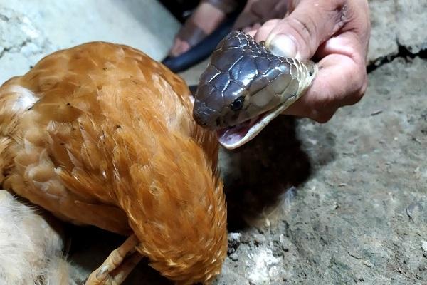 Giải Mã Giấc Mơ Thấy Bị Mất Hết Tài Sản Và Con Số May Mắn