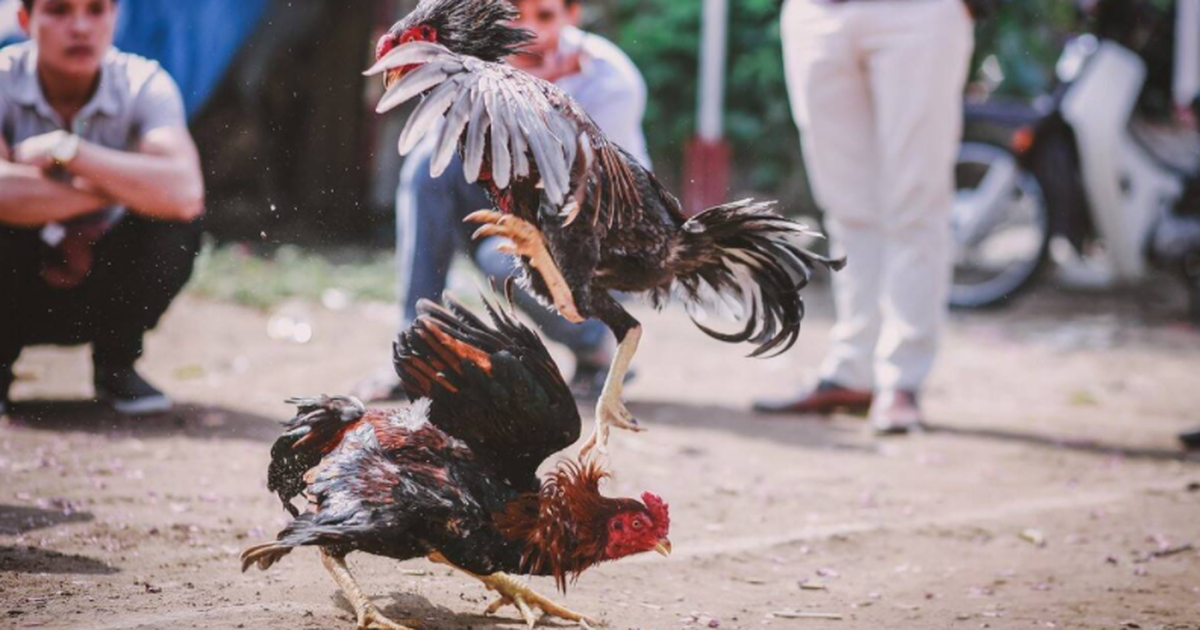 Giải Mã Giấc Mơ Thấy Người Khác Đi Đại Tiện và Số Đề Liên Quan