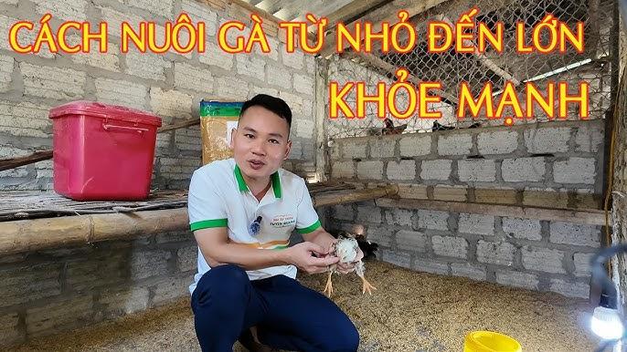 Nằm Mơ Thấy Học Trò Đánh Số Mấy?