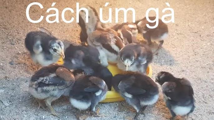Giải Mã Giấc Mơ Thấy Tắm và Số Đề Liên Quan