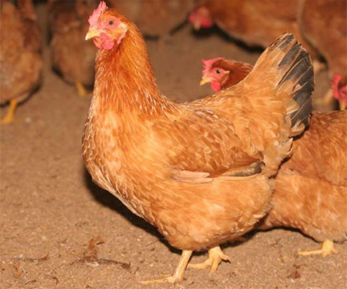 Giải Mã Giấc Mơ Thấy Làm Tình Với Đàn Ông và Số Đề Liên Quan