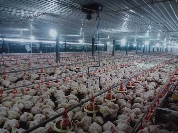 Giải Mã Giấc Mơ Thấy Gió Lốc Đánh Con Gì?
